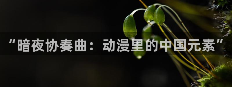 漫画下拉式奇漫屋漫画：“暗夜协奏曲：动漫里的中国元素”