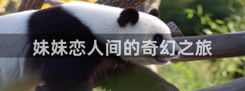 今天也被虎视眈眈漫画下拉式奇漫屋：妹妹恋人间的奇幻之旅